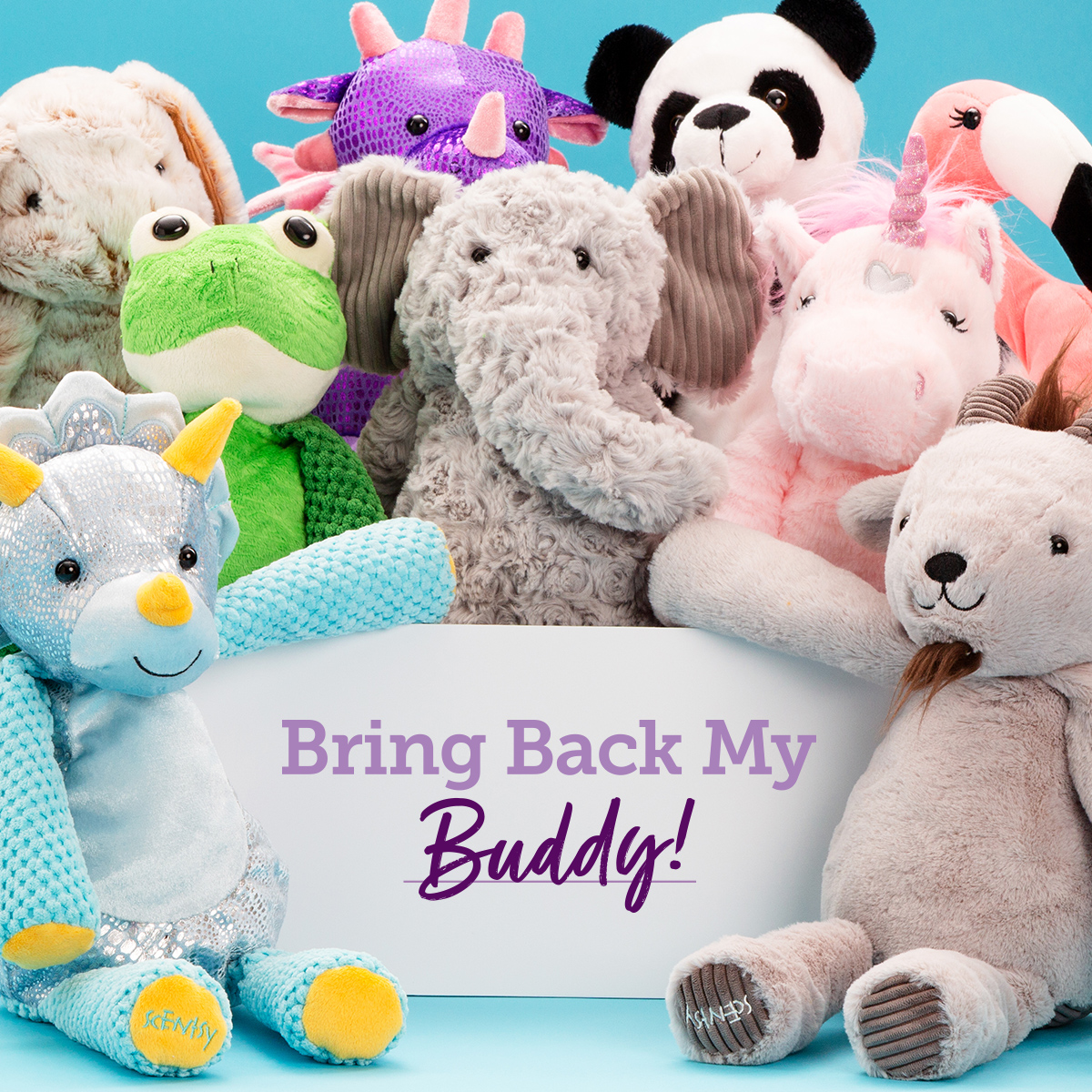 Bring Back My Buddy Voting